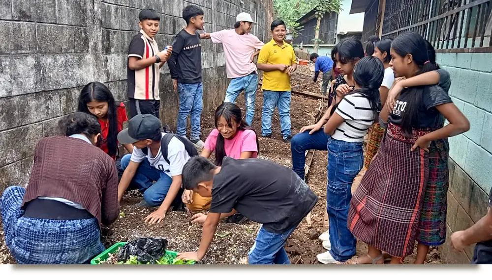 Food Security and Community Development with Schools