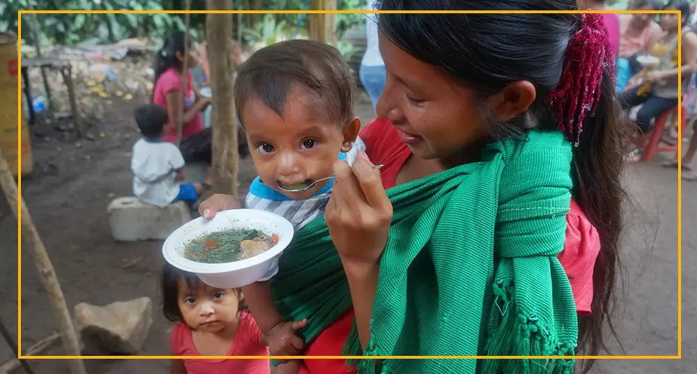 Donaciones en línea Semillas para un futuro 0826