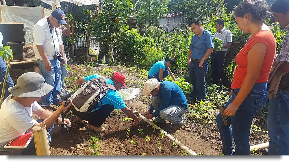 Earth Day - Guatemala Photo of a new, and sustainable permaculture garden being planted.