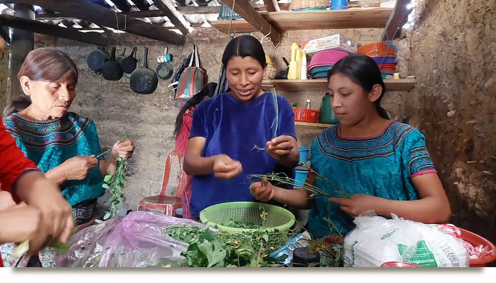 Kitchens and Nutrition Quatemala-1