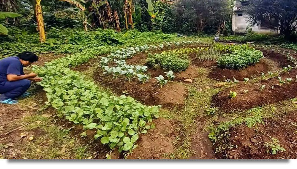 Mandala Garden Design Example Blog