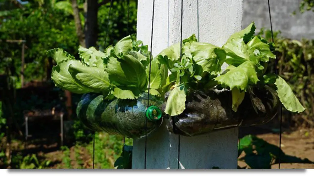 Blog de ejemplos de jardines verticales