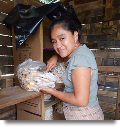 Una foto de un participante en el programa cultivando setas ostra para compartirlas con la familia, y quizás vender el excedente.