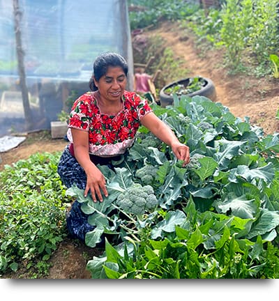Increasing Garden Variety Una participante muestra la variedad y el tamaño de su huerto de permacultura en Guatemala