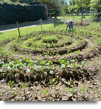 A picture of a mandala-style permaculture garden for highly efficient crop production.