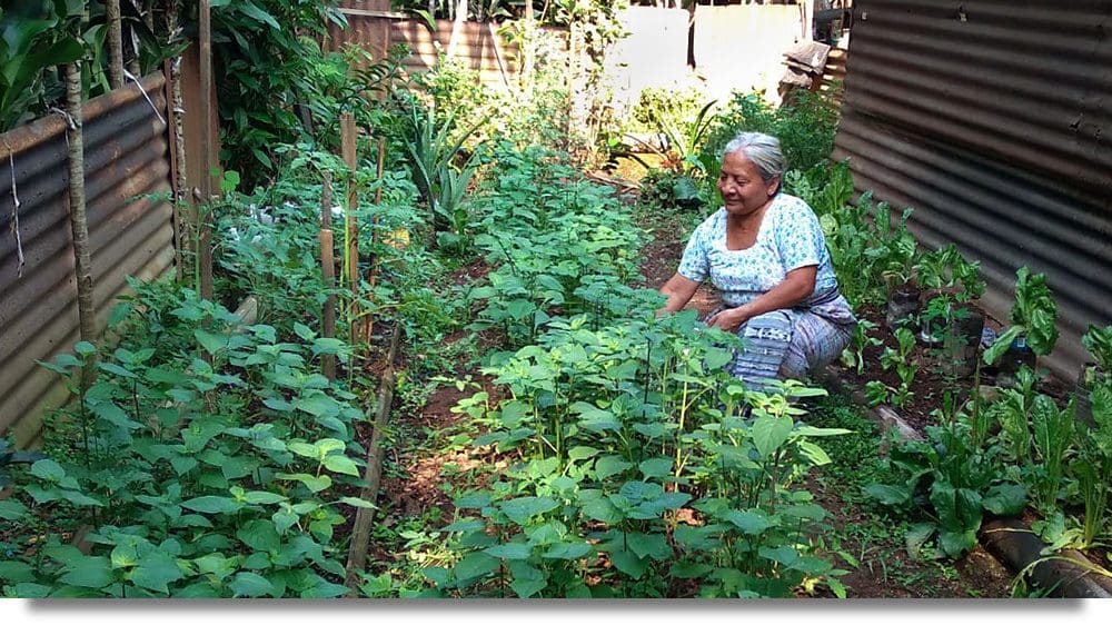 Una participante del Programa Semillas para un Futuro con su huerto de permacultura.