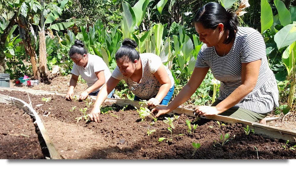 Foto de los participantes en el Programa Semillas para un Futuro plantando un nuevo huerto de permacultura.