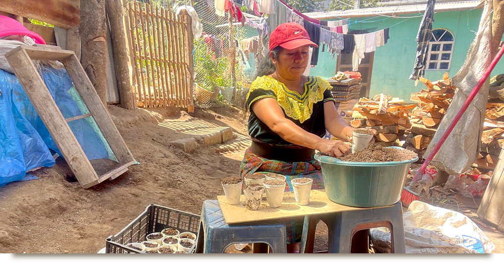 Team Member and New Seedlings Prep for Gardens