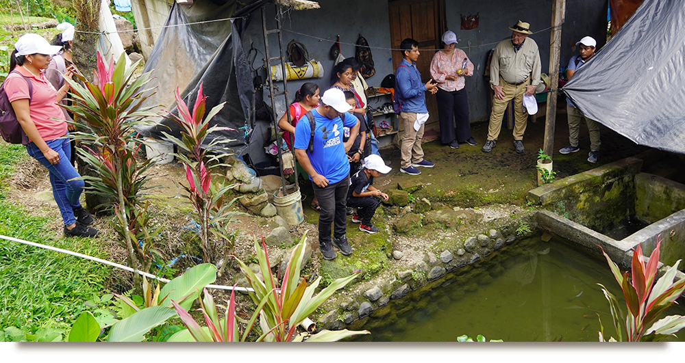 Tilopia Pond of a Family in the Seeds Program